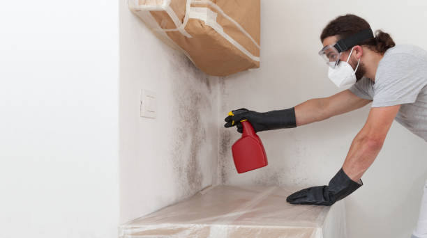 Professional Basement Mold Remediation technician working in Jacksonville, FL