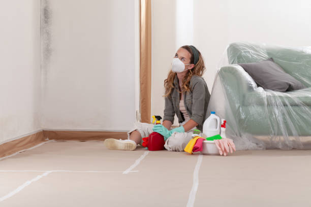 Reliable Basement Mold Remediation contractor in Jacksonville, FL by Mold Remediation HQ